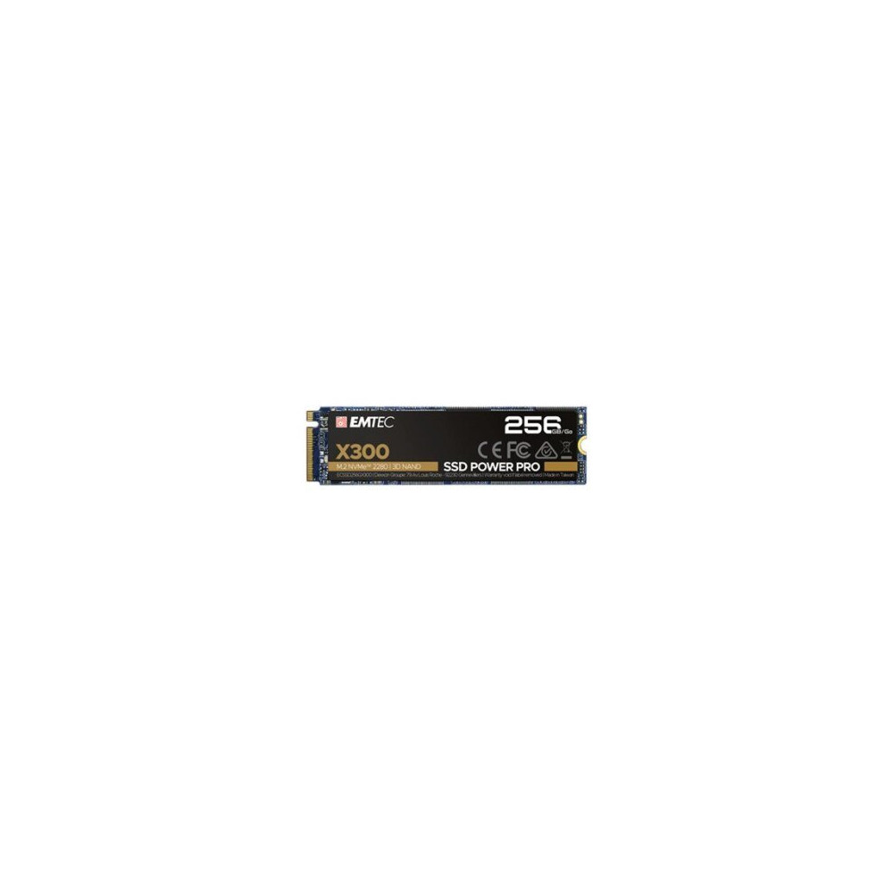 EMTEC X300 NVMe 256 GB - Disco a stato solido