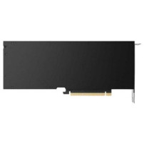 PNY NVIDIA RTX 5000 Ada Generation - Schede grafiche
