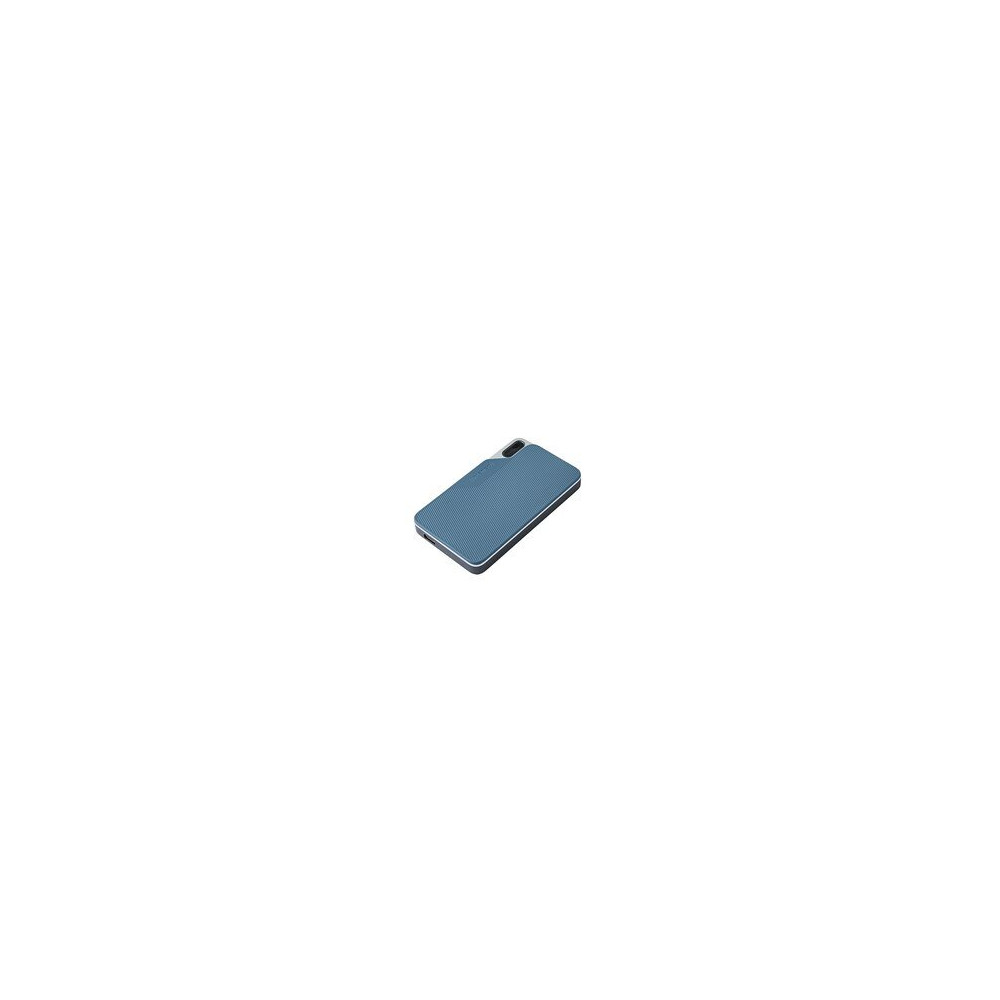 Intenso TX100 - SSD - 250 GB - esterno (portatile) - USB 3.2 Gen 1x1 (connettore USB-C)