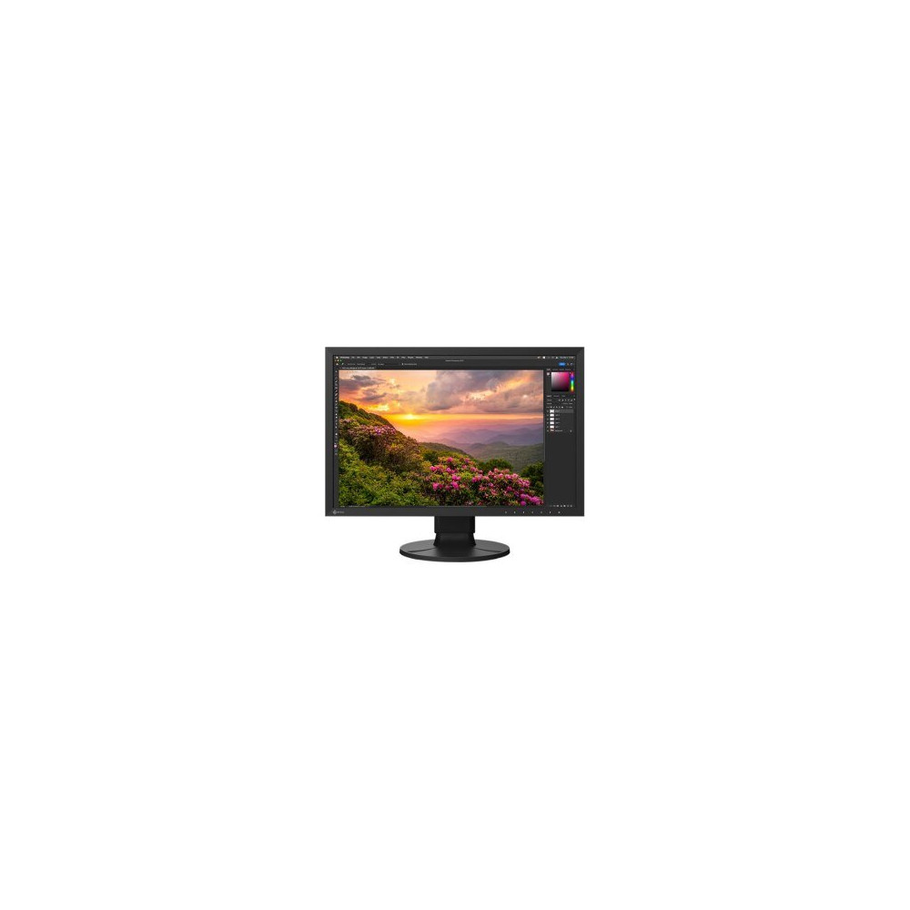 EIZO ColorEdge CS2400S - Serie CS - Monitor LED - 24″