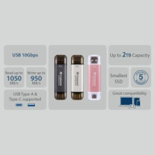 Transcend ESD310 - SSD - 1 TB - esterno (portatile) - USB 3.2 Gen 2x1 (connettore USB-C)