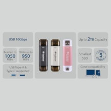 Transcend ESD310 - SSD - 1 TB - esterno (portatile) - USB 3.2 Gen 2x1 (connettore USB-C)