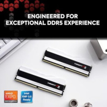 G.Skill Trident Z5 RGB - DDR5 - Kit - 64 GB: 2 x 32 GB
