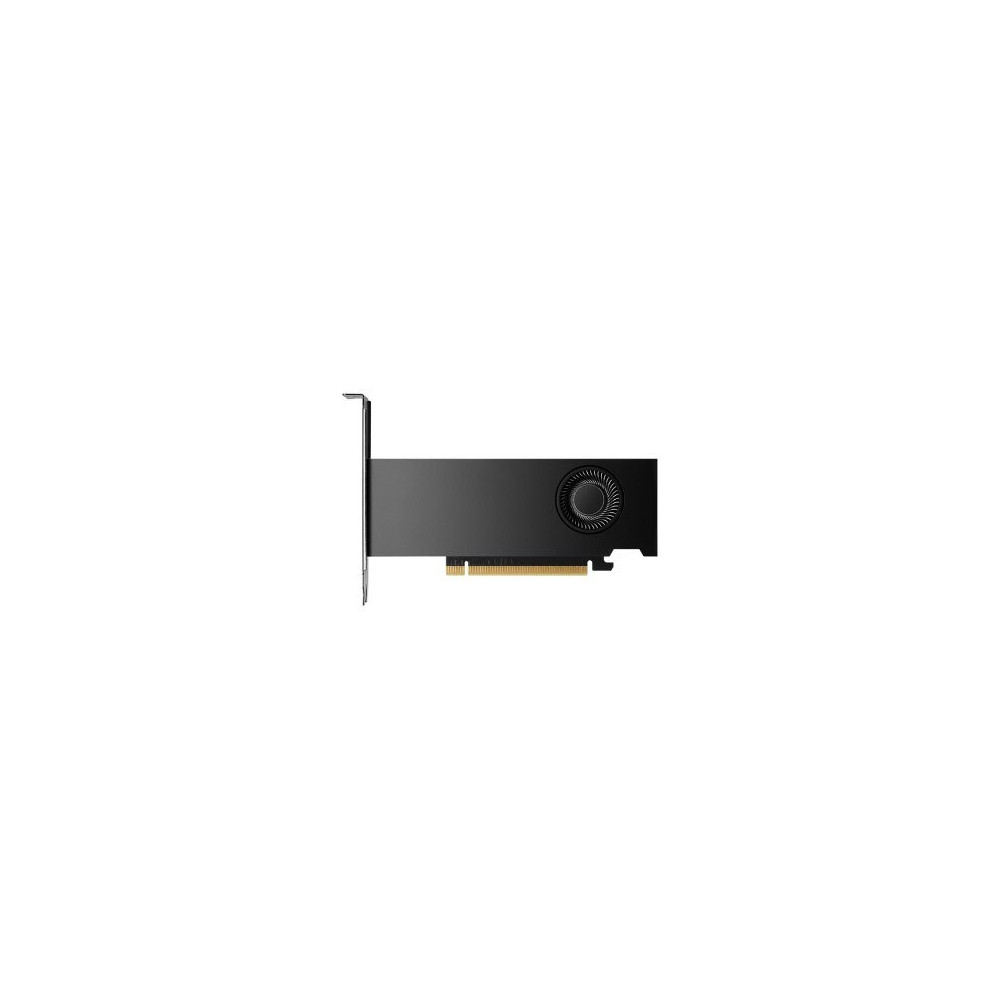 PNY NVIDIA RTX 2000 Ada Generation - Schede grafiche