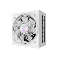 Gigabyte AORUS ELITE AE1000PM PG5 ICE - Alimentatore (interno)