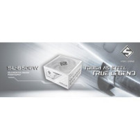 ASRock Steel Legend SL-850GW ATX 80+ Gold WH retail - PC-/Server Netzteil - ATX