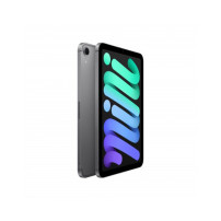 iPad mini Wi-Fi + Cellular 128GB - Grigio Siderale