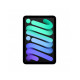 iPad mini Wi-Fi + Cellular 256GB - Grigio Siderale