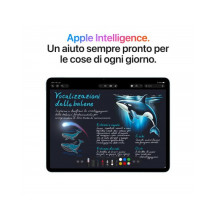 11-inch iPad Air Wi-Fi + Cellular 128GB (M4)  - Galassia