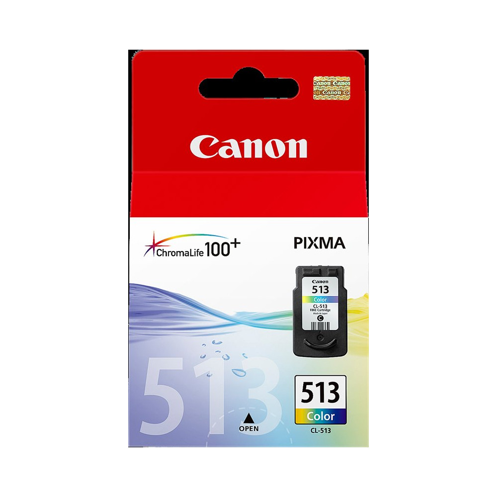 Canon CL-513 differenti colori Cartuccia d'inchiostro (2971B001)