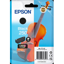 Epson 250 nero Cartuccia d'inchiostro (C13T16N14010)