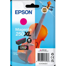 Epson 250 XL magenta Cartuccia d'inchiostro (C13T16P34010)