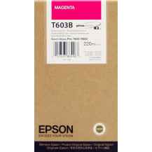 Epson T603B magenta Cartuccia d'inchiostro (C13T603B00)