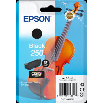 Epson 250 nero Cartuccia d'inchiostro (C13T16N14010)