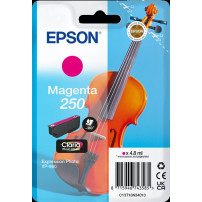 Epson 250 magenta Cartuccia d'inchiostro (C13T16N34010)