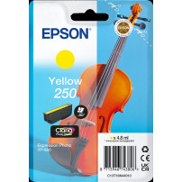 Epson 250 giallo Cartuccia d'inchiostro (C13T16N44010)