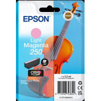 Epson 250 Cartuccia d'inchiostro (C13T16N64010)