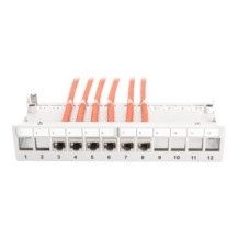 DIGITUS DN-93706 - RJ-45 - Grigio - Montaggio a rack - 1U - Scatola