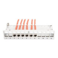 DIGITUS DN-93706 - RJ-45 - Grigio - Montaggio a rack - 1U - Scatola