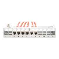 DIGITUS DN-93706 - RJ-45 - Grigio - Montaggio a rack - 1U - Scatola