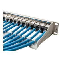 DIGITUS DN-91419 - Grigio - Montaggio a rack - 1U