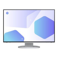 EIZO FlexScan 24 EV2485-WT Office-Monitor
