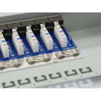 Equip 326324 - RJ-45 - Oro - Cat6 - Grigio - Montaggio a rack - 1U