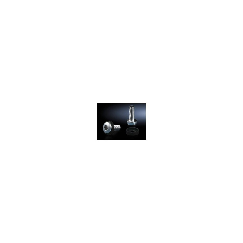 Rittal DK 7094.140 - Vite - Lamina di metallo - M6 - Argento - 1,6 cm - 300 g
