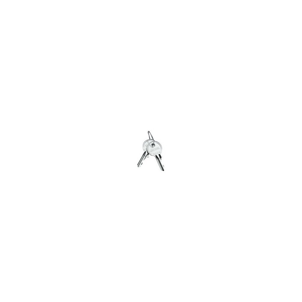 Rittal SZ 2532.000 - Argento - 2 pezzo(i) - 10 g