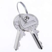 Rittal SZ 2532.000 - Argento - 2 pezzo(i) - 10 g