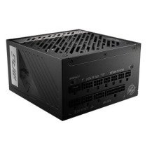 MSI MPG A1000G PCIE5 - Alimentatore (interno) - ATX12V / EPS12V