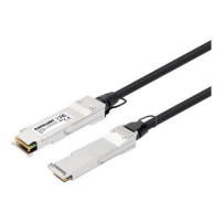 Intellinet 40GBase Cavo di collegamento diretto - QSFP+ (M)