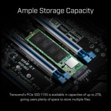 Transcend 115S - SSD - 250 GB - interno - M.2 2280 (doppia faccia)