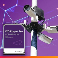 WD Purple Pro WD122PURP - Disco rigido - 12 TB - interno - 3.5″ (8.9 cm)