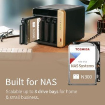 Toshiba N300 NAS Hard Disk interno