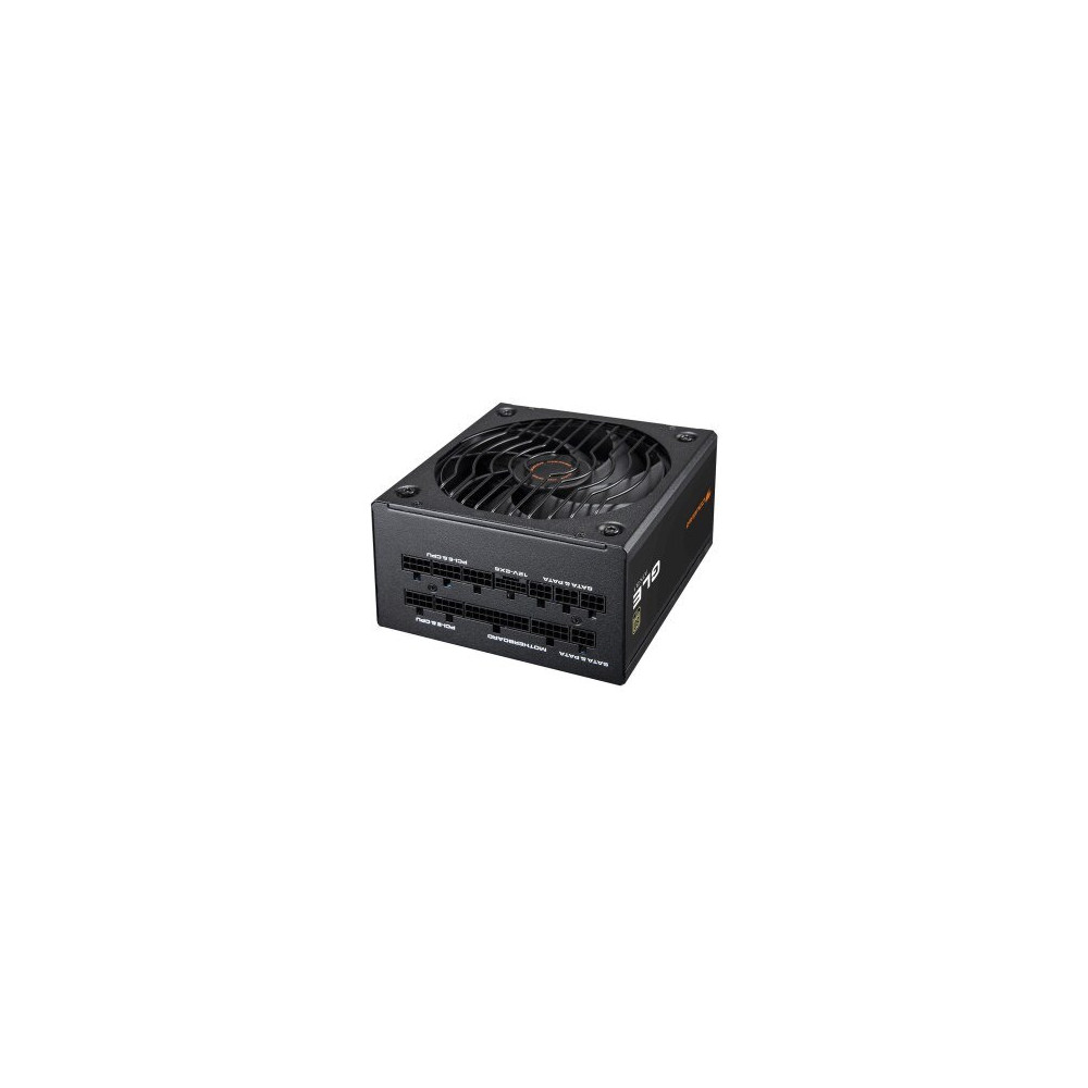 COUGAR CGRGLE-1200 alimentatore per computer 1200 W 20+4 pin ATX ATX Nero