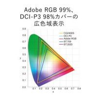 EIZO ColorEdge CG2400S Monitor 24 pollici