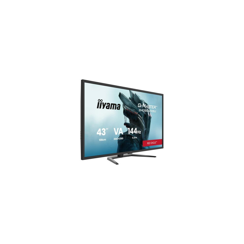 iiyama G-Master G4380UHSU-B2 Monitor 4K UHD VA nero
