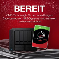 Seagate IronWolf 10 TB Festplatte