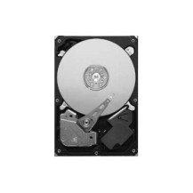 Seagate Pipeline HD 320 GB 3,5″ SATA II 3,5 pollici Serial ATA II