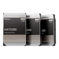Synology HAT5300 - disco rigido - 12 TB - interno - 3,5″ (8,9 cm)