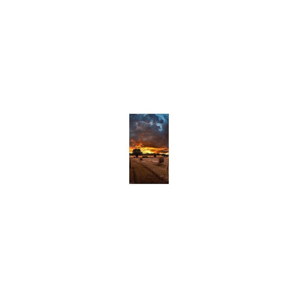 Samsung 46″ VM46B-U - 8 Ms - 1200:1