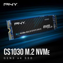 PNY SSD M.2.2280 NVME PCIE CS1030.250G