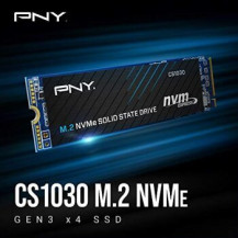 PNY SSD M.2.2280 NVME PCIE CS1030.1TB