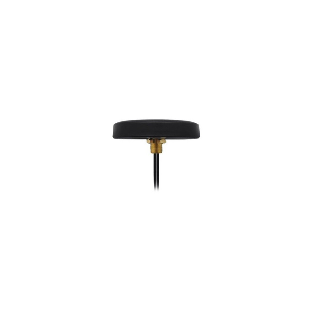 Teltonika Antenna - Telefono cellulare - 2,5 dBi (principale)