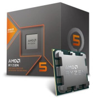 AMD Ryzen 5 8600G - 4.3 GHz - 6 core - 12 thread