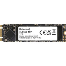 Intenso TOP - SSD - 1 TB - interno - M.2 2280