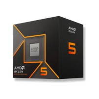 AMD Ryzen 5 9600 - 3,8 GHz - 6 core - 12 thread