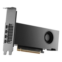 PNY NVIDIA RTX PRO 2000 Blackwell 16GB GDDR6 ECC 4xMini DP - 16.384 MB