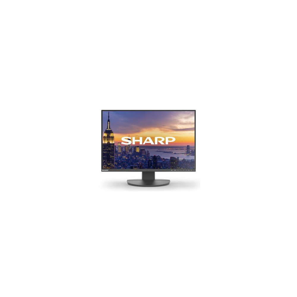 NEC DD-EA242W Black 24 Pollici IPS Monitor Schermo Piatto